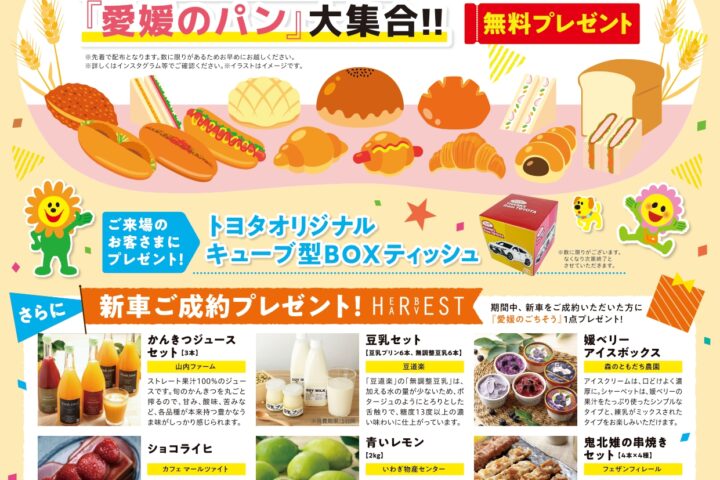 トヨタカローラ愛媛　感謝祭第2弾 11/16~24