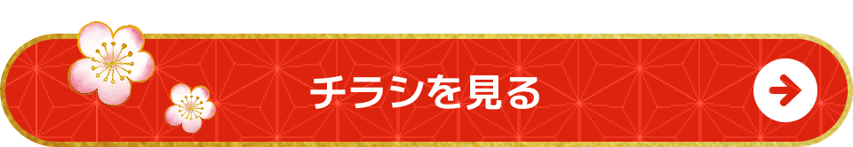 ボタン：チラシを見る